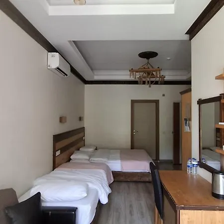 Hotel Mersu Ala Konak Otel Sapanca Kocaeli
