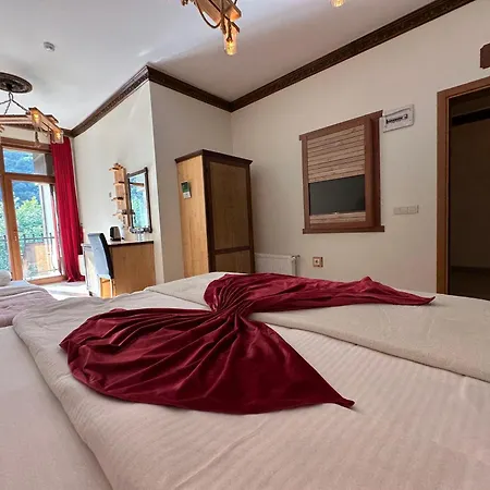 Mersu Ala Konak Otel Masukiye Sapanca Kocaeli