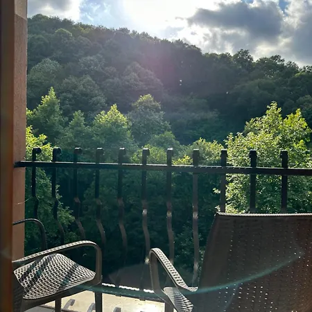 Hotel Mersu Ala Konak Otel Sapanca *