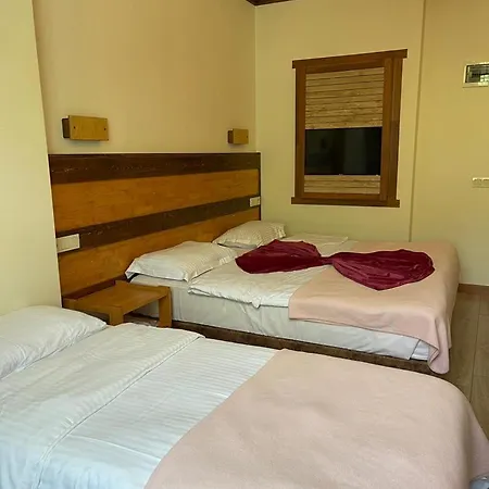 Hotel Mersu Ala Konak Otel Masukiye Sapanca