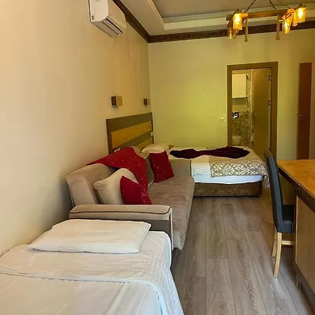 Hotel Mersu Ala Konak Otel Sapanca *