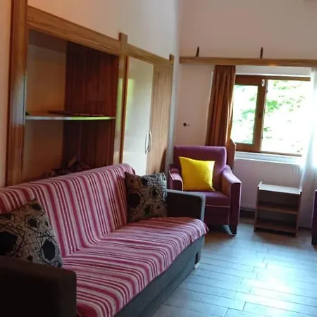 Mersu Ala Konak Otel Masukiye Sapanca Hotel *