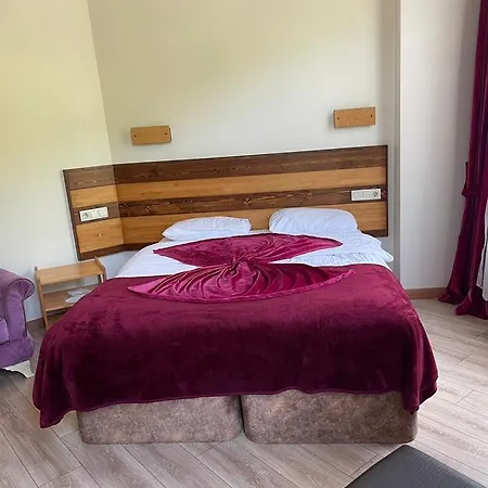 Mersu Ala Konak Otel Sapanca * Kocaeli