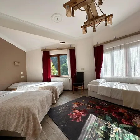 Hotel Mersu Ala Konak Otel Masukiye Sapanca Kocaeli