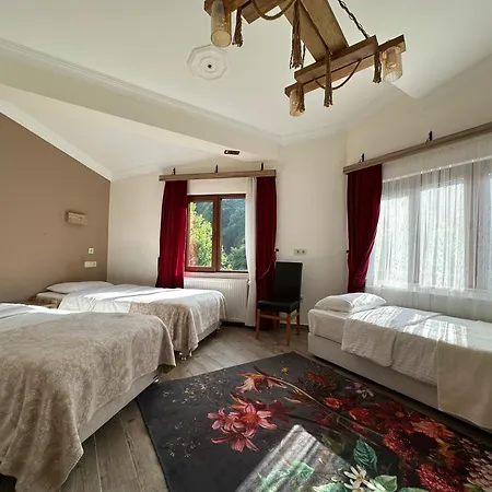 Mersu Ala Konak Otel Sapanca Hotel