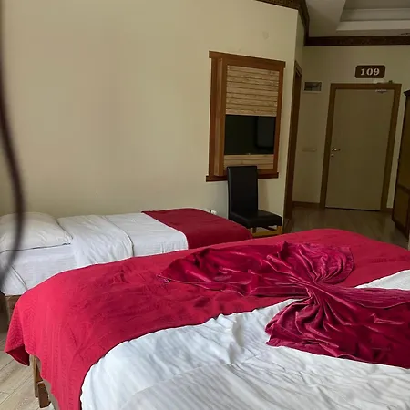 Hotel Mersu Ala Konak Otel Sapanca *