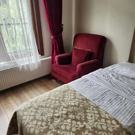 Hotel Mersu Ala Konak Otel Masukiye Sapanca Kocaeli
