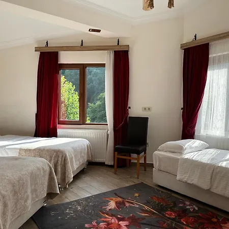 Mersu Ala Konak Otel Masukiye Sapanca * Kocaeli