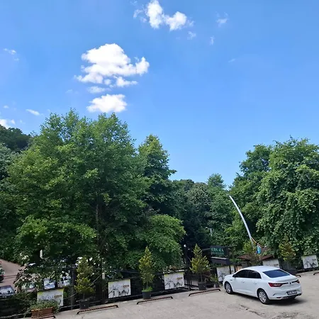 Mersu Ala Konak Otel Masukiye Sapanca
