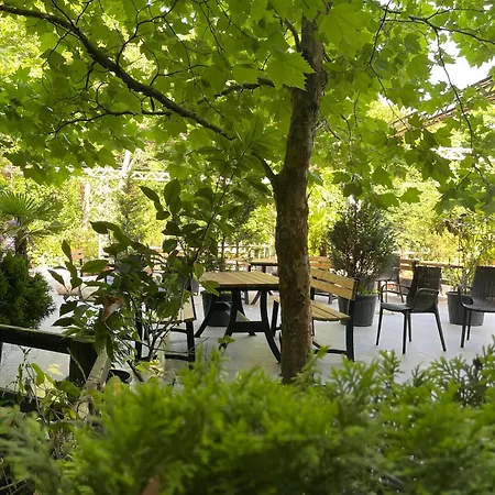 Mersu Ala Konak Otel Sapanca *