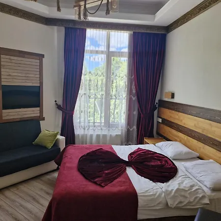 Mersu Ala Konak Otel Sapanca Hotel *