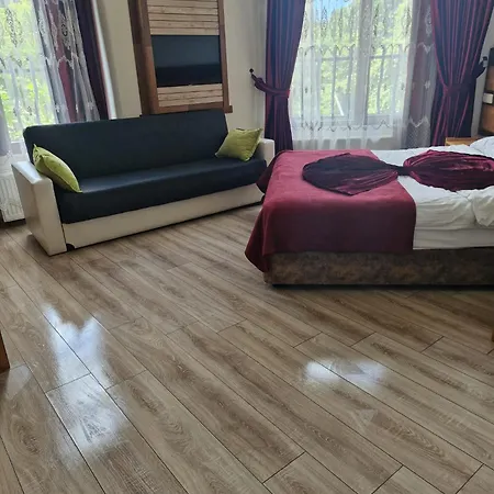 Hotel Mersu Ala Konak Otel Masukiye Sapanca *