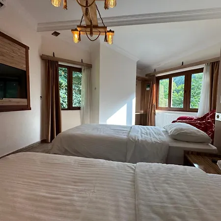 Mersu Ala Konak Otel Masukiye Sapanca Hotel *