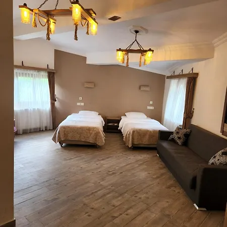 Mersu Ala Konak Otel Sapanca Hotel Kocaeli