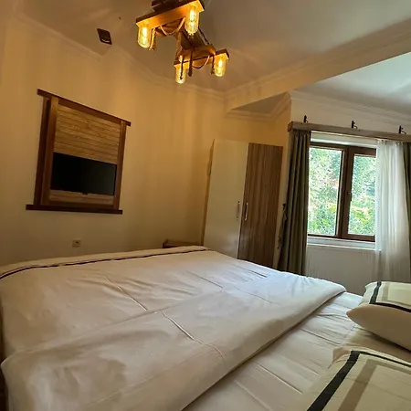 Hotel Mersu Ala Konak Otel Sapanca *