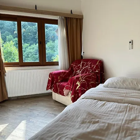 Mersu Ala Konak Otel Sapanca *