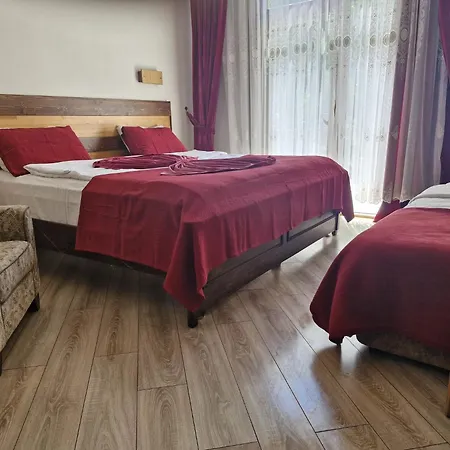 Mersu Ala Konak Otel Masukiye Sapanca *