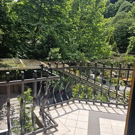 Hotel Mersu Ala Masukiye Sapanca *